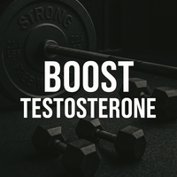How to Boost Testosterone Naturally / Optimization Playbook (E-Book)